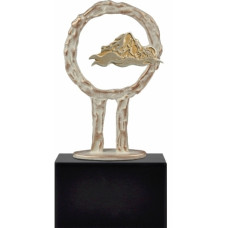 Награда SWIMMER